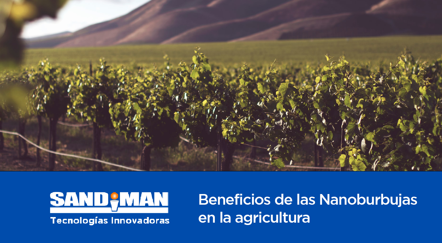 Beneficios de las Nanoburbujas en la Agricultura