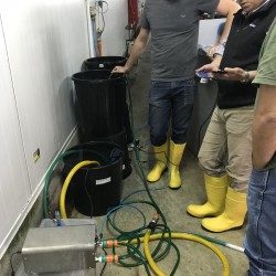 Prueba Burbujas Ultra Finas Piscicultura